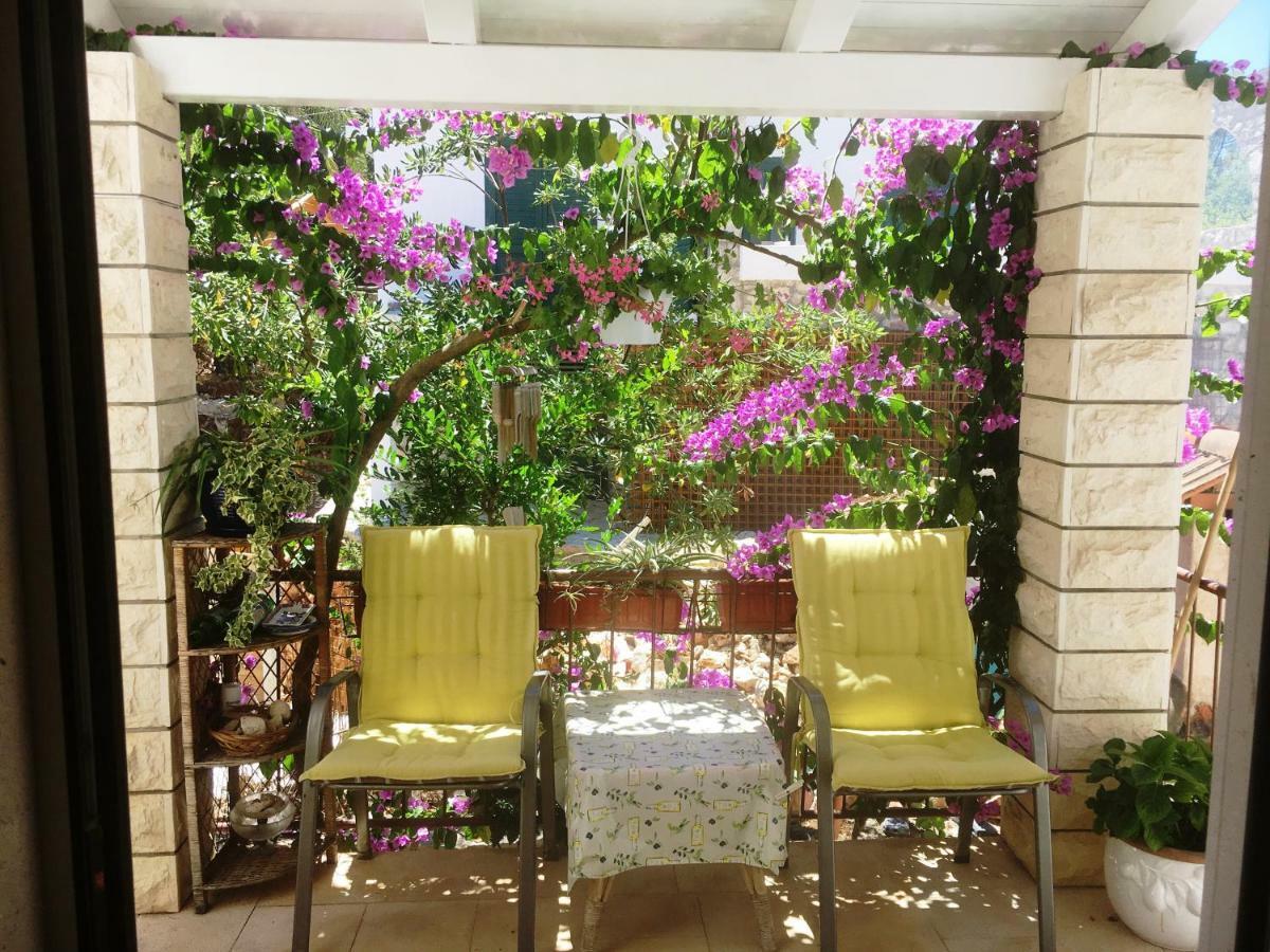 Apartments Dobronic Йелса Екстериор снимка